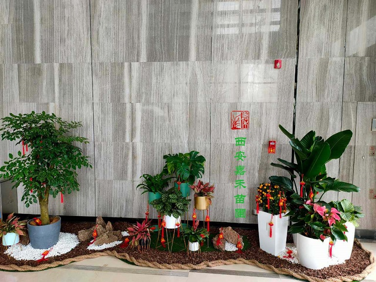 西安商場(chǎng)綠植租賃公司排名