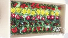 鳳梨市場(chǎng)回暖，價(jià)格回升