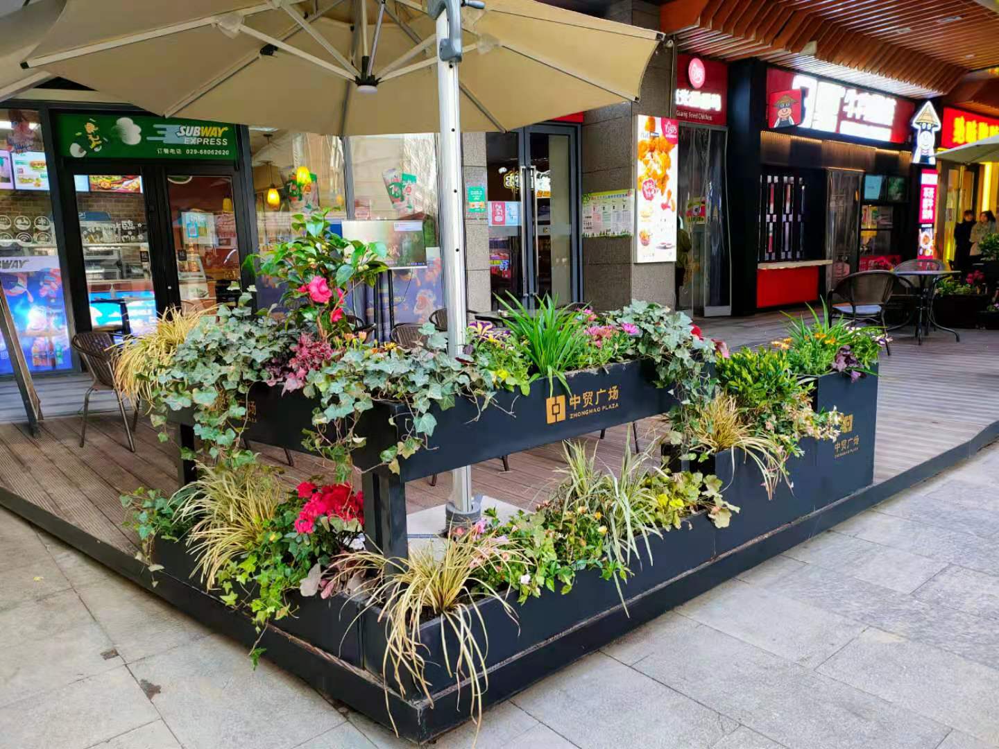 西安商場綠植租賃案例|嘉禾苗圃
