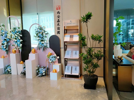 西安商場花卉綠植租擺價格|西安嘉禾苗圃 西安商場花卉綠植租擺價格|西安嘉禾苗圃