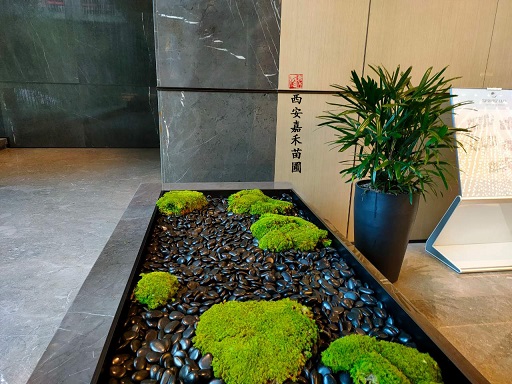 大型商場綠植租賃公司|西安嘉禾苗圃 大型商場綠植租賃公司|西安嘉禾苗圃