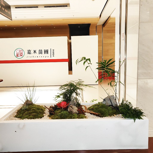 商場(chǎng)花卉綠植租賃花境|西安嘉禾苗圃 商場(chǎng)花卉綠植租賃花境|西安嘉禾苗圃