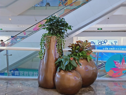 西安商場花卉綠植租賃價格|西安嘉禾苗圃