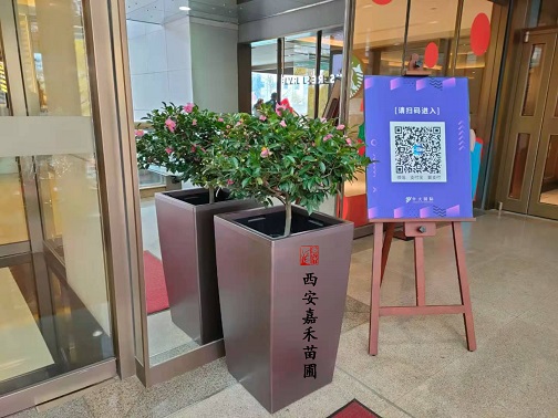 西安商場(chǎng)花卉租賃商家|西安嘉禾苗圃