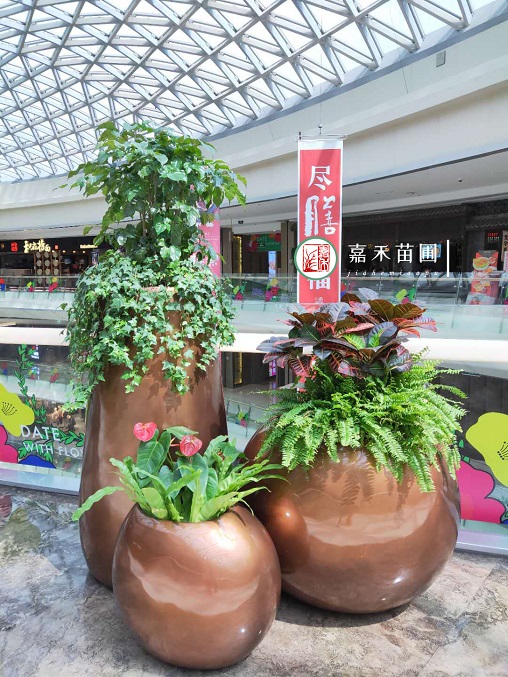 西安商場(chǎng)綠植租擺：西安嘉禾苗圃