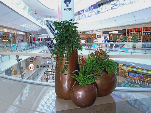 西安金地廣場花卉租擺案例